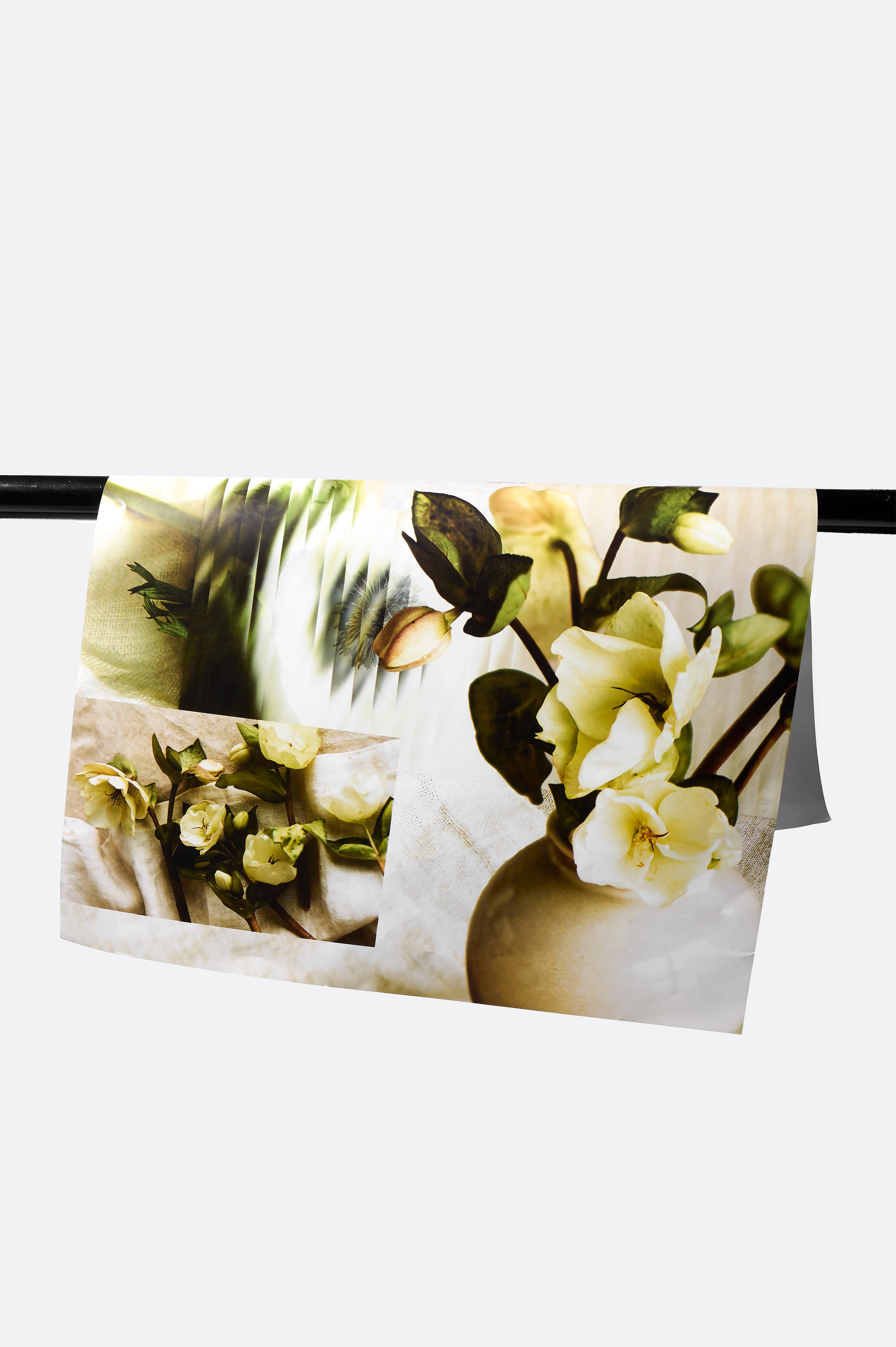 Set of 3 Premium Gift Wrap Sheets - Soft Bloom